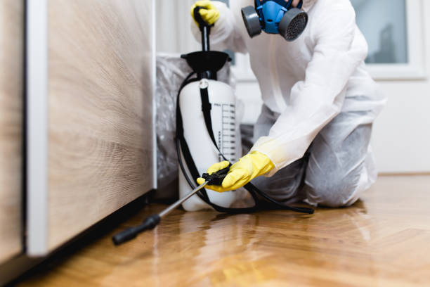 Best Bed Bug Extermination  in Ladonia, AL