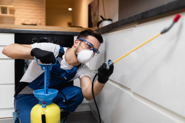 Best Ant Control Services  in Ladonia, AL