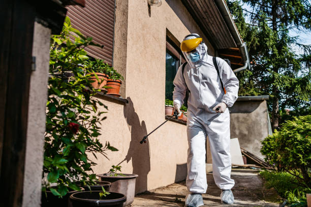 Best Local Pest Control Services  in Ladonia, AL