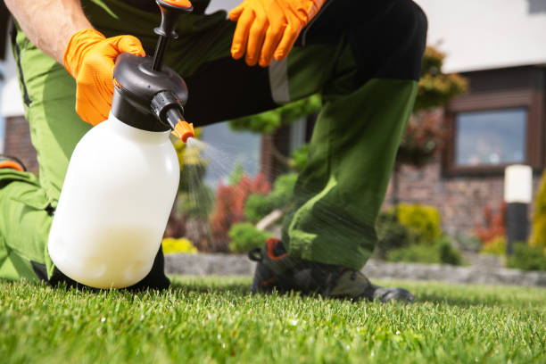 Professional Pest Control in Ladonia, AL