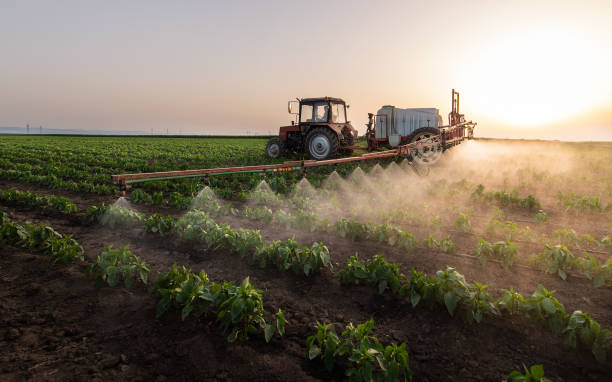 Best Best Pest Control Companies  in Ladonia, AL