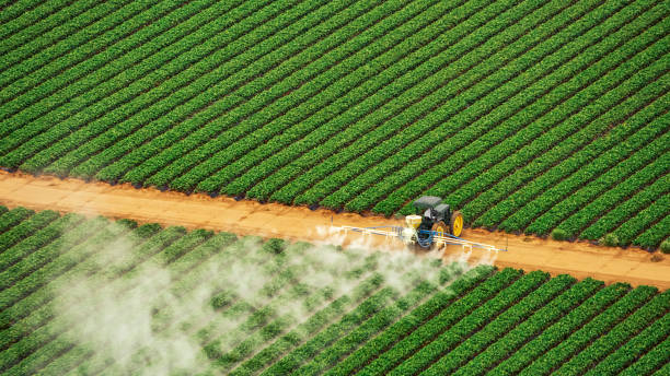 Best Cockroach Control Services  in Ladonia, AL