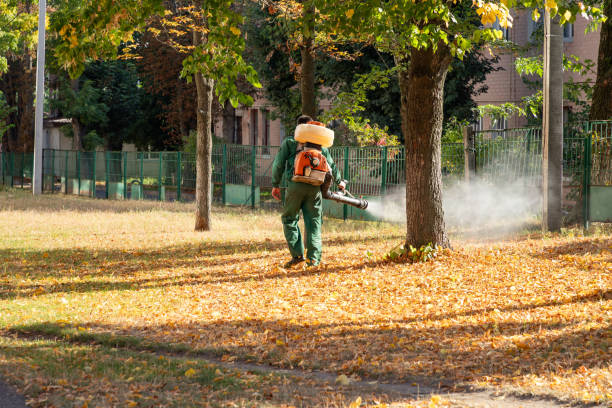 Best Termite Control Services  in Ladonia, AL