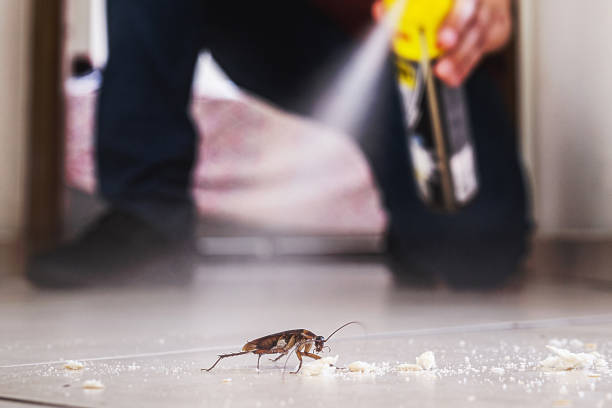 Best Wasp Removal Services  in Ladonia, AL