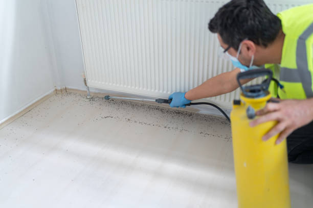 Best Pest Prevention Services  in Ladonia, AL