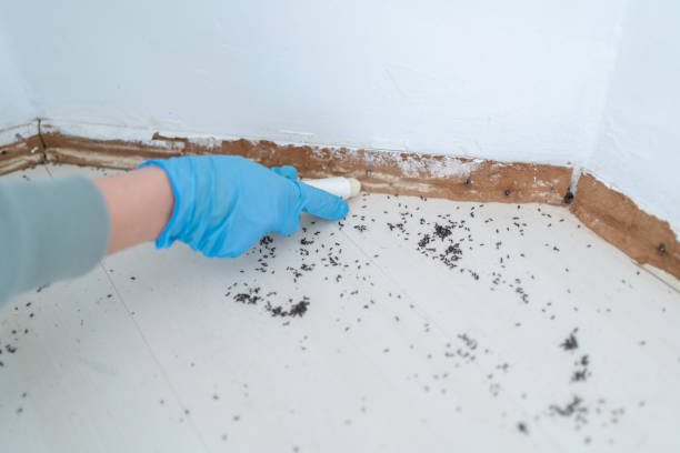 Best Flea Control Services  in Ladonia, AL
